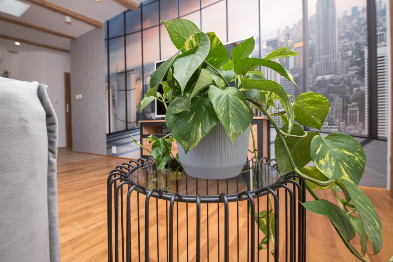 Apartament Mikolowska 2 글리비체 외부 사진